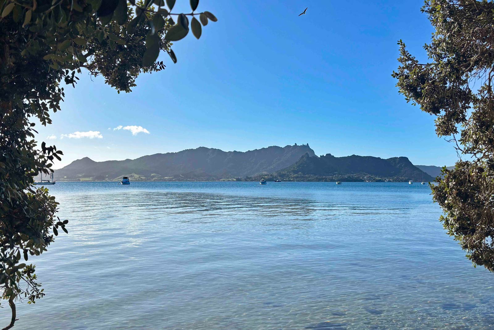 Whangarei Harbour, 200m from One Tree Point Motel